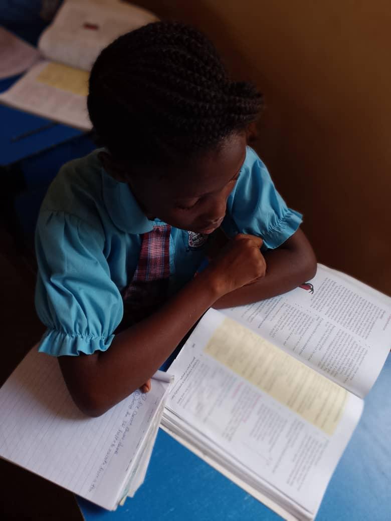 The Rock Dominion Primary School